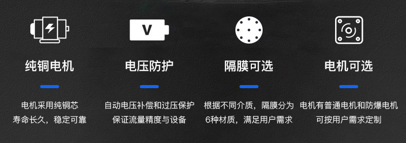 龙洋电动隔膜泵优势所在 龙洋电动隔膜泵优势所在