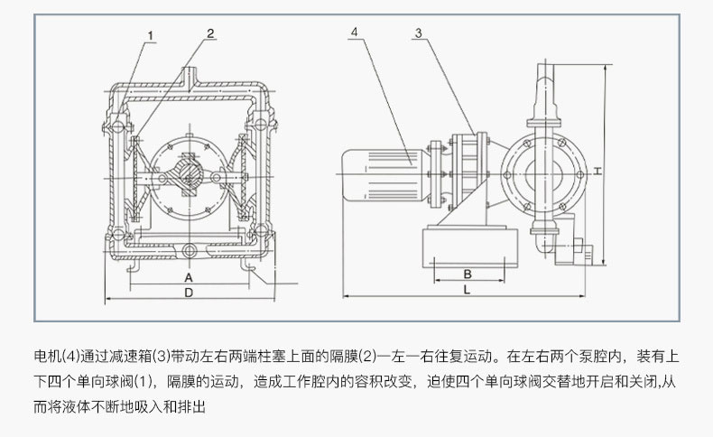 DBY电动隔膜泵工作原理 DBY电动隔膜泵工作原理